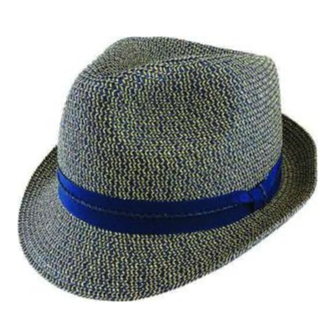 Avenel Braid Trilby with Petersham Feature Band - City Hatters