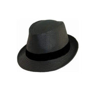 Avenel Hume Toyo Trilby - City Hatters