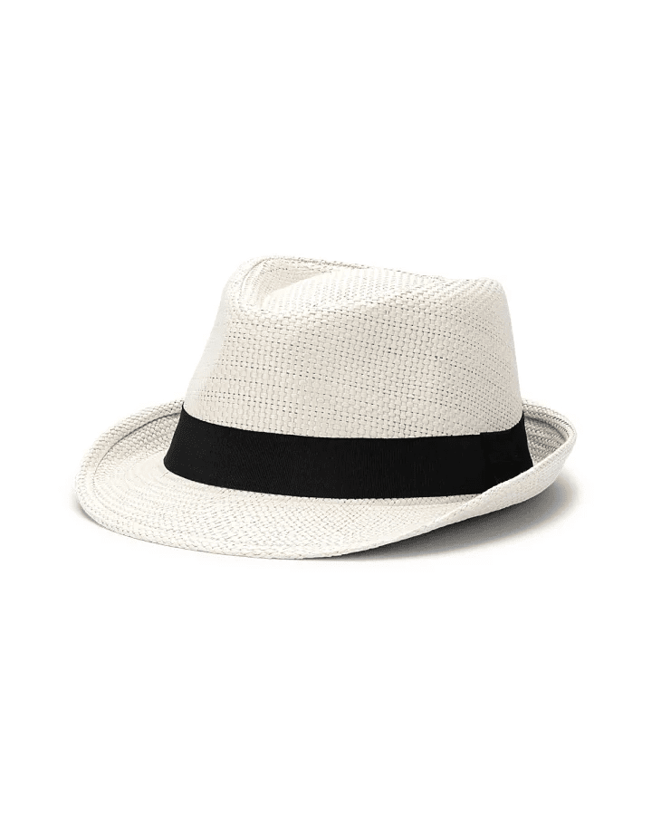 Avenel Hume Toyo Trilby - City Hatters