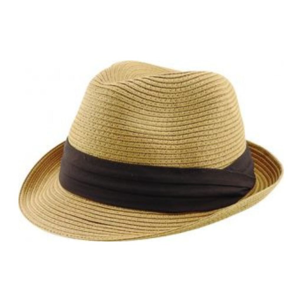 Avenel Mack Crushable Braid Trilby - City Hatters