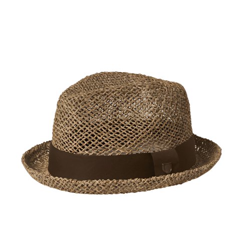 Brixton Castor Seagrass Trilby - City Hatters