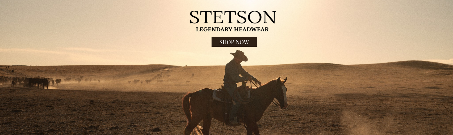 stetson-Hats